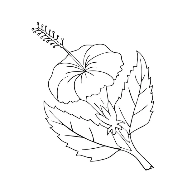 Jolie Fleur Dessin Animé Sur Fond Blanc Pour Les Imprimés — Image vectorielle