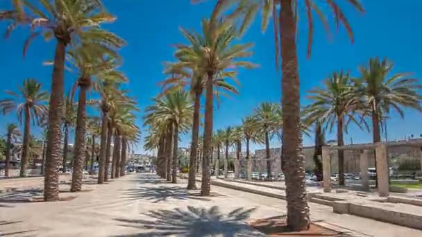 Hoge palmbomen op Alley Mishol Hapninim tuin die leidt naar de Damascus Gate timelapse hyperlapse in oude stad van Jeruzalem, Israël. — Stockvideo