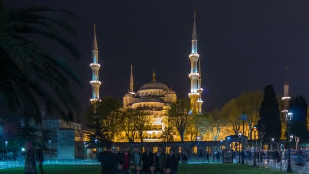 Blue Mosque on night timelapse view from lawn with palm in Istanbul. — Stock Video