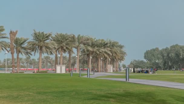 Katar 'ın başkenti Doha' da yedi kilometre uzunluğundaki Corniche 'nin bir ucunda bulunan MIA Park zaman aralığındaki palmiyeler.. — Stok video