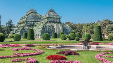 Palmenhaus Schoenbrunn zaman çizelgesi - Avusturya, Viyana 'daki Schoenbrunn parkında büyük bir sera