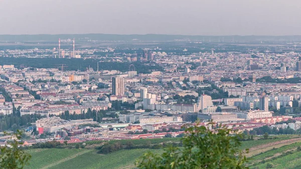 Skyline of Vienna from Danube Viewpoint Leopoldsberg aerial timelapse. — 스톡 사진