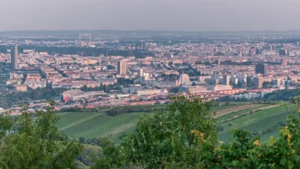 Skyline of Vienna from Danube Viewpoint Leopoldsberg aerial timelapse. — Stock Video