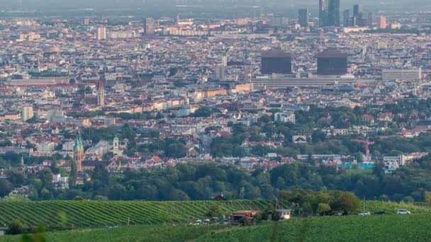 Skyline van Wenen vanaf Donauuitkijkpunt Leopoldsberg luchttijdapsis. — Stockvideo