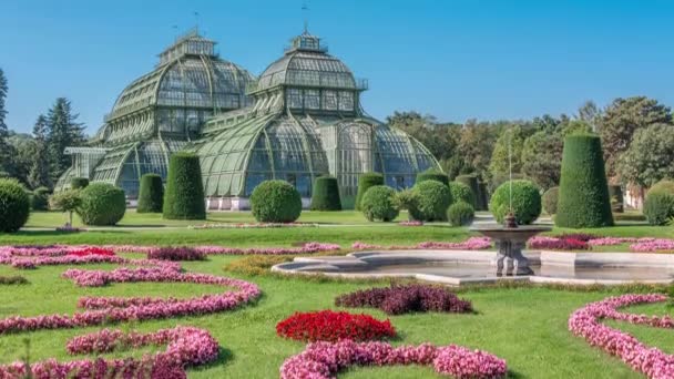 Palmenhaus Schoenbrunn timelapse - duża szklarnia w parku Schoenbrunn w Wiedniu, Austria — Wideo stockowe