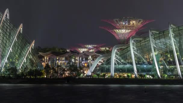 Ein nächtlicher Blick auf den Supertree Grove, den Nebelwald und die Blütenkuppel der Gardens by the Bay in Singapur im Zeitraffer. — Stockvideo