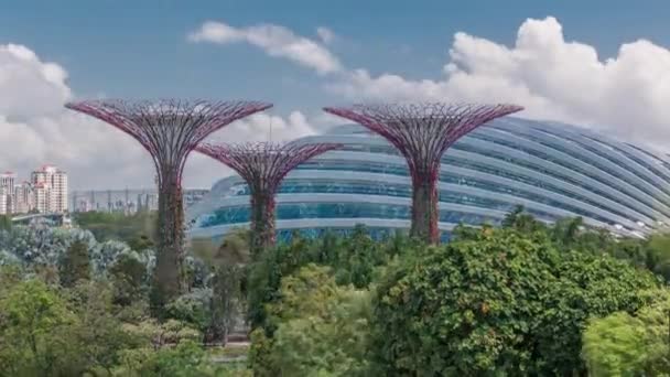 Luchtfoto van The Supertree Grove, Cloud Forest en Flower Dome bij Gardens by the Bay in Singapore timelapse. — Stockvideo