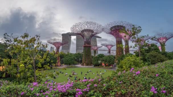 Φουτουριστική εναέρια άποψη του καταπληκτικού φωτισμού στον κήπο από την ημέρα Bay να νύχτα timelapse στη Σιγκαπούρη. — Αρχείο Βίντεο
