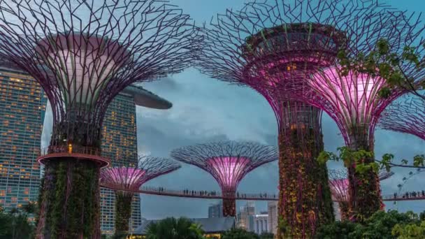 Vista aérea futurista de la increíble iluminación en Garden by the Bay día a noche timelapse en Singapur. — Vídeos de Stock