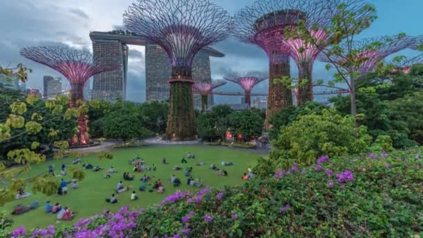 Futuristisk antenn syn på fantastisk belysning på Garden by the Bay dag till natt timelapse i Singapore. — Stockvideo