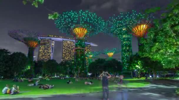 Vista aerea futuristica di incredibile illuminazione al Garden by the Bay notte timelapse hyperlapse a Singapore . — Video Stock