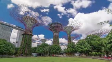 Singapur 'daki Bay Timelapse hiperhızının yanındaki Garden' daki muhteşem süper ağaçların gelecekteki görüntüsü.