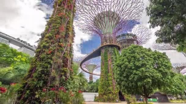 Futuristisch uitzicht op verbazingwekkende superbomen bij Garden by the Bay timelapse hyperlapse in Singapore. — Stockvideo