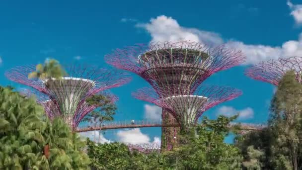 Futuristisch uitzicht op verbazingwekkende superbomen bij Garden by the Bay timelapse in Singapore. — Stockvideo