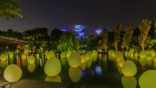 Przyszłość Razem wystawa w Dragonfly Lake i Bayfront Plaza Gardens przez hiperlapse Bay timelapse. — Wideo stockowe