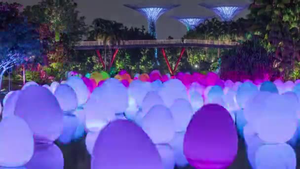Future Together show at Dragonfly Lake and Bayfront Plaza Gardens by the Bay timelapse. — стокове відео
