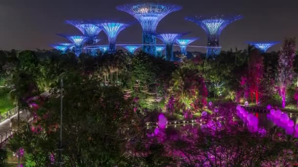 Vista futurista de la increíble iluminación en Garden by the Bay night timelapse en Singapur. — Vídeos de Stock