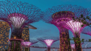 Günbatımından sonra Singapur 'da, gündüz körfezden gece geçiş zamanına kadar Garden' daki muhteşem aydınlanmanın fütüristik hava görüntüsü. Supertree Groveis 'deki gece lambası gösterisi Marina Körfezi' nin ana turistik merkezi.