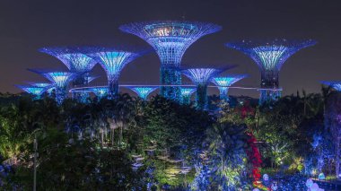 Singapur 'daki körfez gecesinde Garden' daki muhteşem aydınlanmanın fütüristik görüntüsü. Hafif donanımlı Dragonfly Gölü. Supertree Groveis 'deki gece lambası gösterisi Marina Körfezi' nin ana turistik merkezi.
