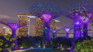 Günbatımından sonra Singapur 'da, gündüz körfezden gece geçiş zamanına kadar Garden' daki muhteşem aydınlanmanın fütüristik hava görüntüsü. İzleyicileri olan yeşil çimenler. Supertree Groveis 'deki gece lambası gösterisi Marina Körfezi' nin ana turistik merkezi.
