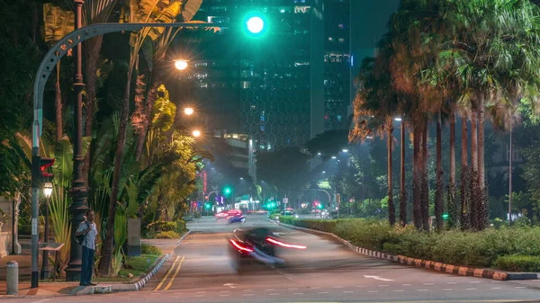 Beach Road Drzewami Nocnym Ruchem Singapurze Timelapse Hyperlapse Widok Oświetlonej — Zdjęcie stockowe