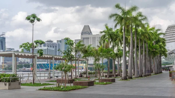 公園のそばのヤシの木とシンガポールの高層ビルが並ぶマリーナベイの屋外を歩いてください — ストック写真