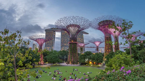 Günbatımından Sonra Singapur Gündüz Körfezden Gece Geçiş Zamanına Kadar Garden — Stok fotoğraf
