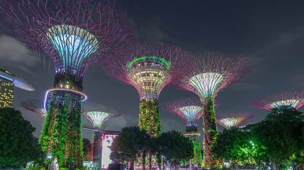 싱가포르의 Bay Night Timelapse Hyperlapse 정원에서의 놀라운 조명에 지향적 시청자들 — 스톡 사진