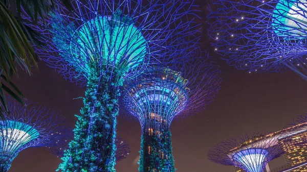 Vista Futuristica Una Straordinaria Illuminazione Garden Bay Night Timelapse Hyperlapse — Foto Stock