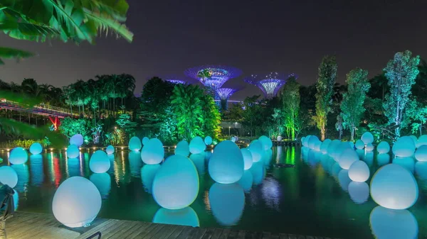 Future Together Ausstellung Dragonfly Lake Und Bayfront Plaza Gardens Bay — Stockfoto