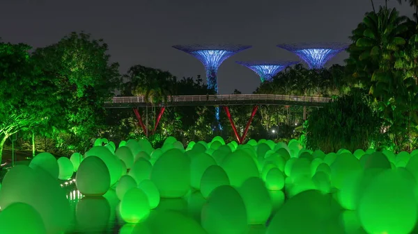 Future Together Exhibition Dragonfly Lake Bayfront Plaza Gardens Bay Timelapse — Stock Photo, Image