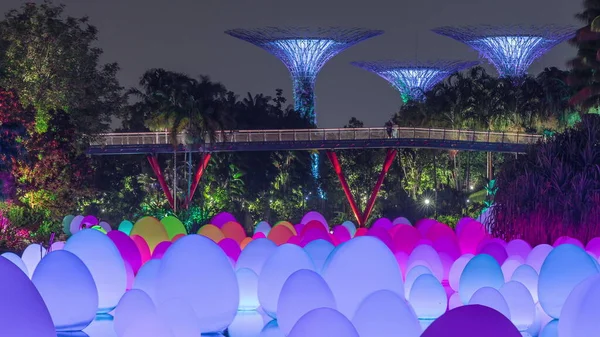 Future Together Exhibition Dragonfly Lake Bayfront Plaza Gardens Bay Timelapse — Stock Photo, Image