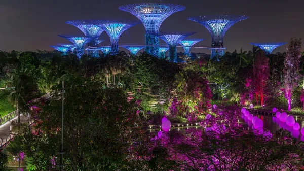Футуристический Вид Удивительное Освещение Саду Залива Ночью Сингапуре Озеро Стрекозы — стоковое фото