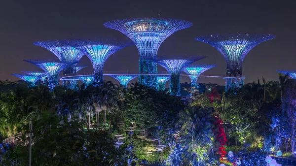 シンガポールのベイナイトタイムラプスによるガーデンでの素晴らしい照明の未来的な景色 トンボ湖の光のインストールです スーパーツリーグローブでのナイトライトショーは メインマリーナベイ地区の観光名所です — ストック写真