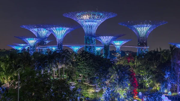 Vista Futurista Incrível Iluminação Garden Bay Noite Timelapse Cingapura Dragonfly — Fotografia de Stock