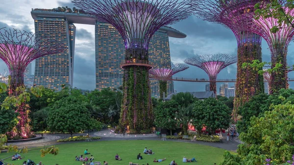 Vista Aérea Futurista Iluminación Increíble Garden Bay Día Noche Timelapse —  Fotos de Stock