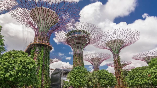 Vista Futurista Increíbles Superárboles Garden Bay Hiperlapso Timelapse Singapur Supertree —  Fotos de Stock