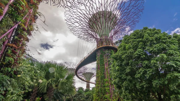 Vista Futurista Increíbles Superárboles Garden Bay Hiperlapso Timelapse Singapur Supertree —  Fotos de Stock