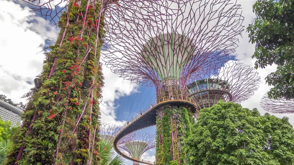 Vista Futurista Increíbles Superárboles Garden Bay Hiperlapso Timelapse Singapur —  Fotos de Stock