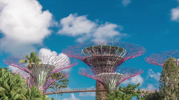 Vista Futurista Increíbles Superárboles Garden Bay Timelapse Singapur Supertree Groveis —  Fotos de Stock