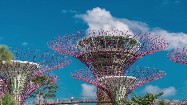 Vista Futurista Increíbles Superárboles Garden Bay Timelapse Singapur —  Fotos de Stock