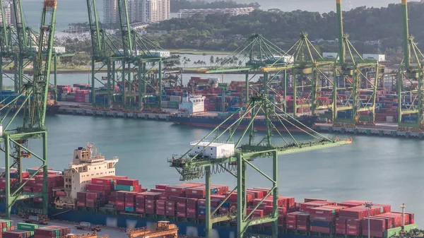 Port Handlowy Singapuru Lotnicza Timelapse Widok Lotu Ptaka Najbardziej Ruchliwego — Zdjęcie stockowe