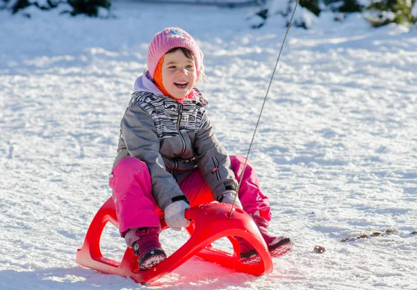 Yürümeye başlayan çocuk kız kış uygun eğleniyor kızak üzerinde