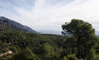 Panoramik dağ ve orman yolu, Montserrat mounta