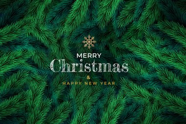 Gerçekçi Noel ağacı dalları. Çam ağacının yeşil dalının Xmas arka planı. 