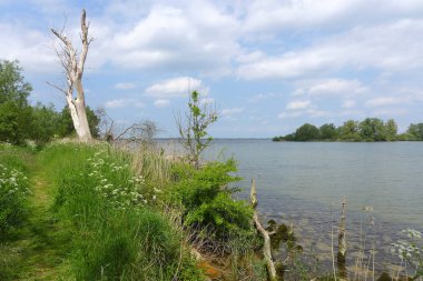 Vahşi kırsal gölet  