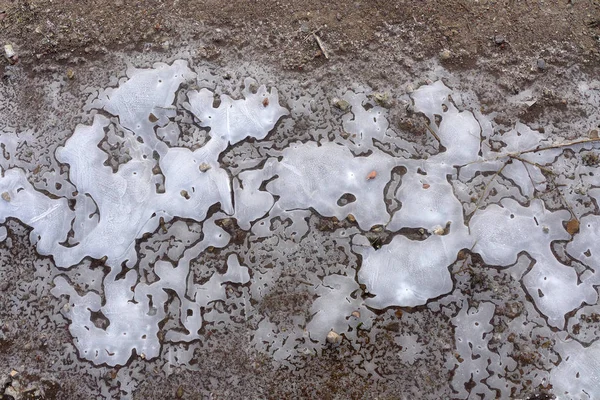Форми льоду на землі — стокове фото