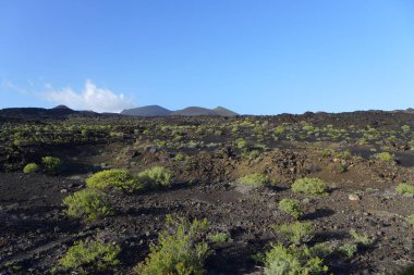 La Palma, canary Island