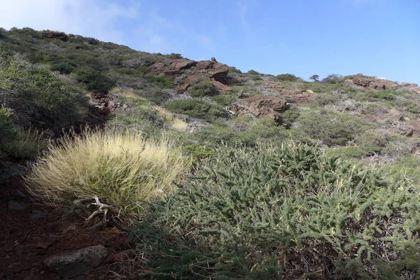 La Palma, Canarische eiland — Stockfoto