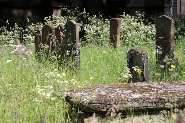 Oxford university cemetery — Stock Photo, Image